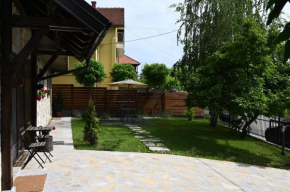 Apartmani Andric